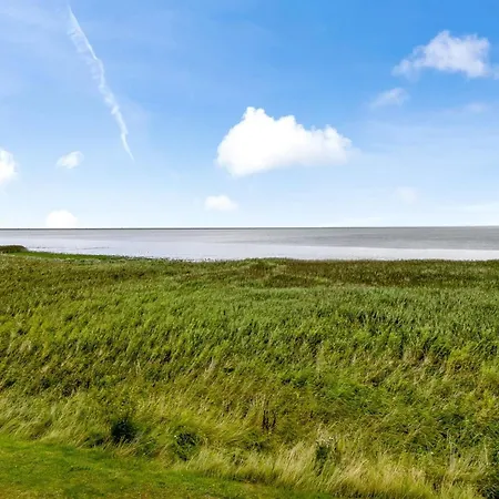 Auwe - 3-5km From The Sea By Interhome Feriehus Kongsmark
